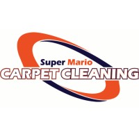 Super Mario Carpet Cleaning