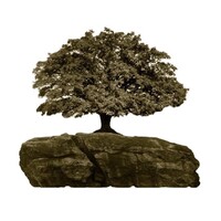 OakStone logo - Similar company to Oakstone Land & Capital