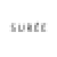 SURÉE logo - Similar company to Dragon Diffusion