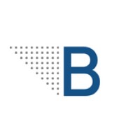 Bragg Solutions Group logo - Similar company to Michael Million Consulting