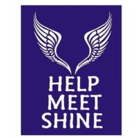 HMSI logo - Similar company to Hmsi Its