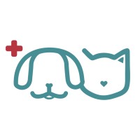American Animal Hospital Of Neenah