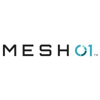 MESH01 logo - Similar company to Wincourse Technologies