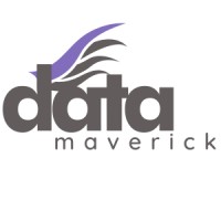 Data Maverick logo - Similar company to Data Mavericks