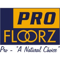 Profloorz International Pte Ltd logo - Similar company to Ideall Solutionz  Singapore Pte Ltd