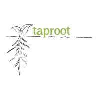 taproot logo - Similar company to Compass Collective