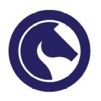 EVERSOLVE logo - Similar company to Riot Industrial