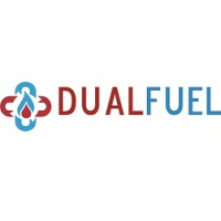 Dual Fuel Power Systems, Inc