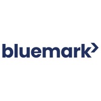 Bluemark logo - Similar company to Streamline3Pl