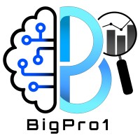 Bigpro1 logo - Similar company to Quan Techno Support Bv - Qtechs