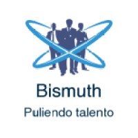 Bismuth logo - Similar company to Bismuth