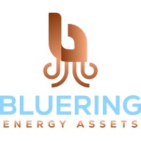Bluering Energy Assets logo - Similar company to Bouyant Offshore Solutions Pte Ltd