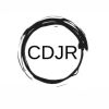 Center for Disability Justice Research: Health Equity, Education, and Creativity (CDJR) logo - Similar company to Association For Size Diversity And Health