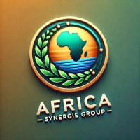 Africa Synergie Group logo - Similar company to Capital Finance Et Stratégie