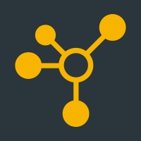 Cyber Kings Consulting logo - Similar company to Netone Network Solution Co., Ltd.