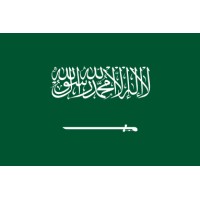 Saudi Arabia Artificial Intelligence Worldwide Leadership logo - Similar company to Nice Idea Club