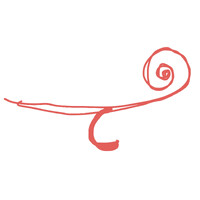 Tempo Optics Inc. logo - Similar company to Flexoscope