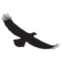 Condor Pipeline Services logo - Similar company to Platinum Pipeline Services