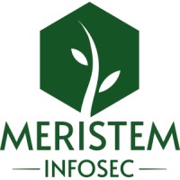 Meristem Information Security logo - Similar company to Snowfroc - Presented By Denver Owasp
