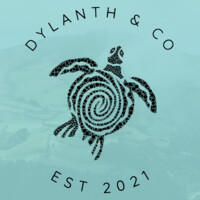 Dylanth & Co logo - Similar company to Techcentro