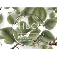Hawthorne Belmont logo - Similar company to Техноинновация
