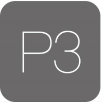 P3 Search & Selection logo - Similar company to Edgewell Construction