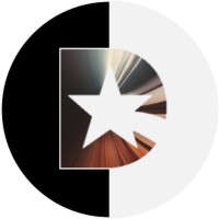 The Deilightful Group logo - Similar company to Structured Pm | Project Management Consultancy