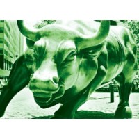 Green Bull Fund logo - Similar company to Knox Park Capital