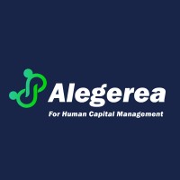 Alegerea logo - Similar company to Ayjya