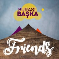 Friends Travel logo - Similar company to Red Wall Bahçeşehir