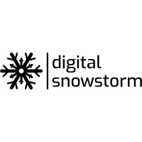 Digital Snowstorm logo - Similar company to Serp Waves