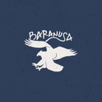 Baranusa logo - Similar company to Mau Solution