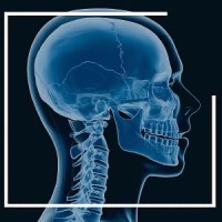 HoloAnatomy®, Case Western Reserve University logo - Similar company to Hololens Surgical Research
