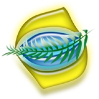 Brasil Bioma Cursos Ambientais logo - Similar company to Ivisam