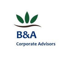 B&A Corporate Advisors logo - Similar company to Hublee