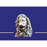 LEONE Executive Coaching & Consulting logo - Similar company to Formatio Privatschule
