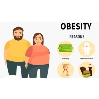 Ayurveda R US AYURVEDA OBESITY HOMEOPATHY PHYSIOTHERAPY  YOGA DIET STRESS Complementary Medicine logo - Similar company to The 2 Week Diet