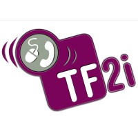 TF2I logo - Similar company to Driftbox