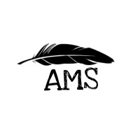 The AMS Consultancy logo - Similar company to Ams Consulting