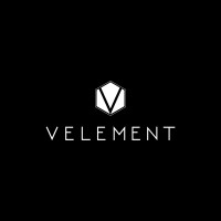 Velement Worldwide logo - Similar company to Centro De Desarrollo Integral
