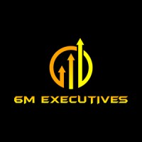 6M Executives logo - Similar company to 6M Consulting
