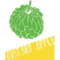 Custard-Apple Technologies (CAT) logo - Similar company to Netack