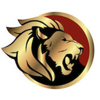 Affinium Security Protection logo - Similar company to Selarom Security Services