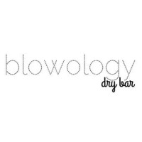 Blowology Dry Bar logo - Similar company to Cyberchase Tech