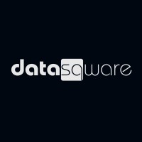 DataSqware logo - Similar company to Apex Frames