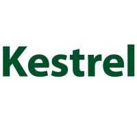 Kestrel Consultancy Group Limited logo - Similar company to Jsml Global