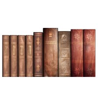 THE STEVE LAUBE AGENCY, LLC logo - Similar company to Calvin Center For Faith & Writing