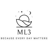 ML3 logo - Similar company to Ml3 Consulting Services
