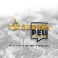 Kgudisa Peu Media logo - Similar company to Boxed Up Living