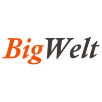 BigWelt logo - Similar company to Codeedex Technologies